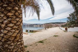Fotografie z fotogalerie ubytování Livaja Apartment v Trogiru