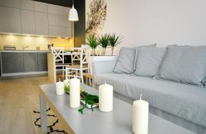 Kuchyňa alebo kuchynka v ubytovaní Apartamenty REZULAK Solna B104 204 303