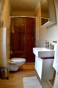 a bathroom with a shower and a toilet and a sink at Guesthouse Bale in Bale