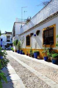 a street with potted plants on the side of a building at De Patios in Córdoba