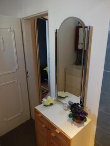un bagno con specchio e cassettiera con fiori di Luxeriöses Apartment 52 ViraLago a Vira Gambarogno