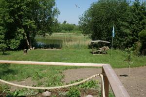 Příroda nedaleko apartmánu