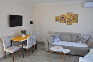 TV a/nebo společenská místnost v ubytování Aria apartmani