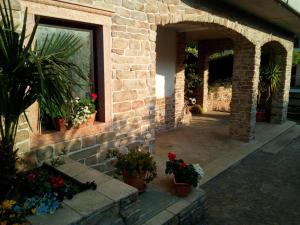 Zahrada ubytování B&B agli Ulivi