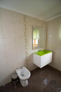 La salle de bains est pourvue d'un lavabo, de toilettes et d'un miroir. dans l'établissement Casa do Telheiro, à Sabugueiro