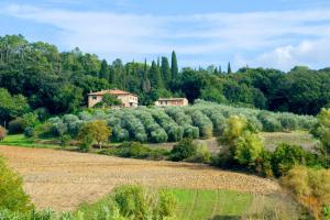 una casa in mezzo a un campo con alberi di Podere Poggiarello a Poggibonsi