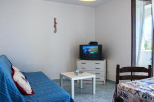 TV a/nebo společenská místnost v ubytování Apartments Jadranovo