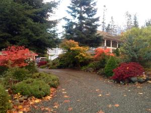 Royston的住宿－Little Bear Garden View Suites-Hummingbird，车道,在树屋前