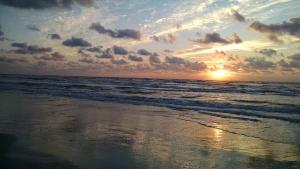 Φωτογραφία από το άλμπουμ του Island House BeachFront Condo Hotel σε Corpus Christi +142 φωτογραφίες