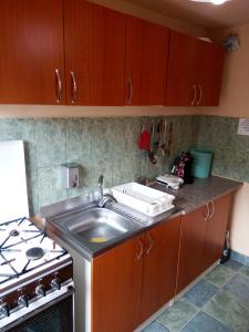 Küche/Küchenzeile in der Unterkunft Vila Alexandru