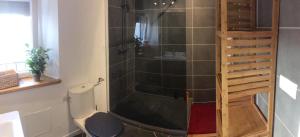 a shower stall in a bathroom with a toilet at Maison Banyuls in Banyuls-sur-Mer +7 photos