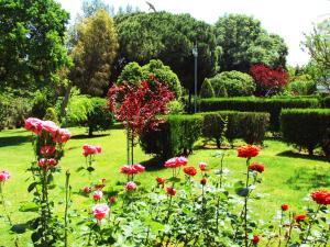 A garden outside Villa Kiza Apartments
