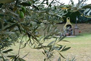 A garden outside Casale Montemoro