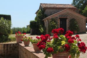 A garden outside Casale Montemoro