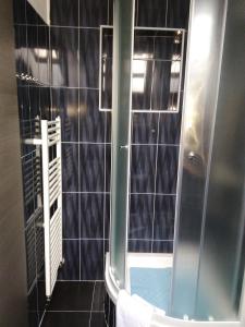 a black tiled bathroom with a shower and a toilet at Rooms Hazler in Slunj