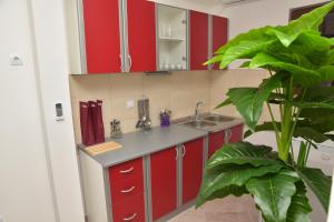 a kitchen with red cabinets and a potted plant at Apartmani Centar Igalo in Herceg-Novi