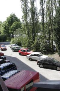 Foto dalla galleria di Hotel Terek a Štětí