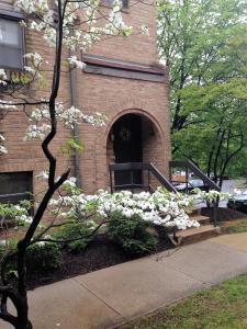 Un edificio con un mucchio di fiori bianchi davanti di DC Gem a Washington