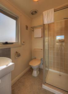 a bathroom with a toilet, sink, and shower at Dannebrog Lodge in Devonport