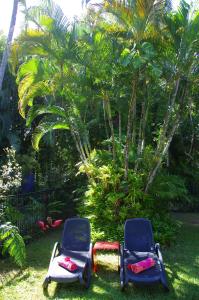two chairs sitting in the grass in front of a palm tree at Pink Flamingo Resort in Port Douglas
