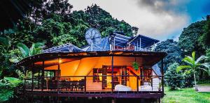 uma casa no meio de uma floresta em Cape Tribulation Holiday House em Cape Tribulation