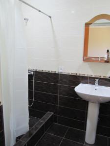 a bathroom with a sink and a mirror at B&B Byurakan-Vanush in Byurakan