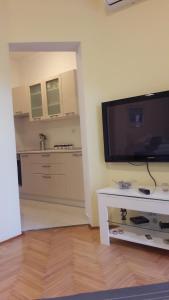 TV a/nebo společenská místnost v ubytování Clementa Apartment