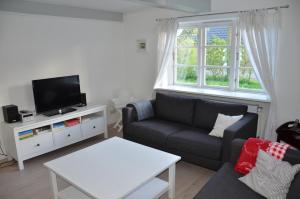 uma sala de estar com um sofá e uma televisão em Wohnen Unter Reet em Niebüll