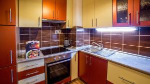 Kuchyň nebo kuchyňský kout v ubytování High Tatras - Patris 27