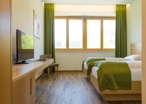 Televízia a/alebo spoločenská miestnosť v ubytovaní Business Motel Feldkirch
