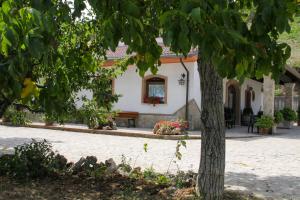 Galeriebild der Unterkunft Agriturismo Il Regio Tratturo in Baselice + 35 Fotos