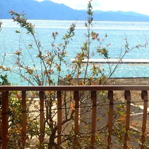 a view of the ocean from a wooden fence at Apartments Tamaris in Zaostrog