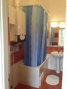 a bathroom with a shower curtain and a sink at Péterfia Apartman in Debrecen