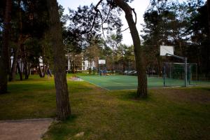 Tenis alebo squash v ubytovaní Apartament Wśród Drzew alebo jeho okolí