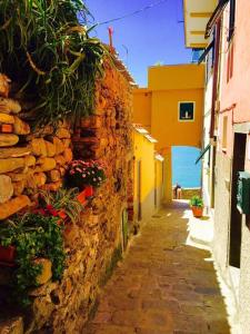 柯爾尼利亞的住宿－Belvedere Affittacamere，一条狭窄的小巷,有石墙和鲜花