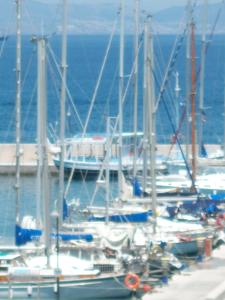a group of sailboats docked in a harbor at Fantasia Hotel Apartments in Kos