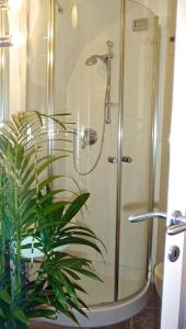a shower with a glass door next to a plant at Cegi's home in Vernazza