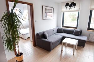 a living room with a couch and a potted plant at Apartamenty Mesa Grill Restaurant Cafe in Dźwirzyno