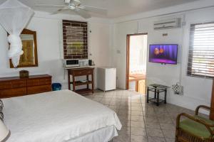 TV a/nebo společenská místnost v ubytování Cleopatra Villas - Sea View