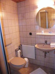 a small bathroom with a toilet and a sink at Pension Hofmann-Schmölzer in Rothenburg ob der Tauber