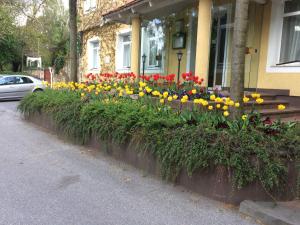 Giardino di Hotel Arnold