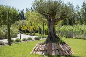 a tree sitting on top of a stump in the grass at Les Carmes and spa in Le Thor