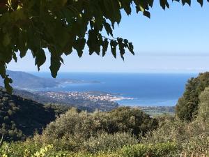 a view of the ocean from the hills at Gîtes ruraux Aria Falcona in Santa-Maria-Figaniella