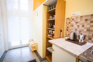 Kuchyň nebo kuchyňský kout v ubytování Apartment Villa Vltava