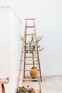 ポリニャーノ・ア・マーレにあるRooms Masseria Giangrandeの鉢植えの梯子