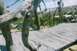 旅舍周边自然景观