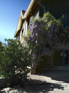 a tree with purple flowers on the side of a building at Domaine de Monein in Saint-André-de-Cubzac