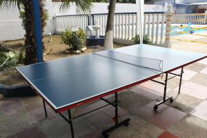 Stolní tenis v ubytování Villa Katherine nebo okolí