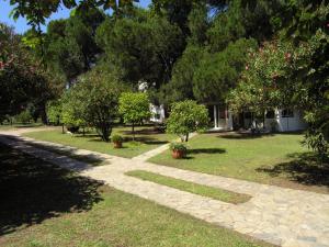 ścieżka w parku z drzewami i domem w obiekcie Strophilia Apartments w mieście Koukounaries