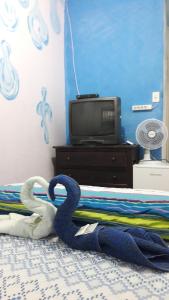 Μια τηλεόραση ή/και κέντρο ψυχαγωγίας στο Pousada e Hostel Monalisa